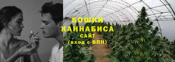 соль ск Белокуриха
