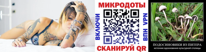 мега ONION  Кстово  Галлюциногенные грибы мицелий  сколько стоит 